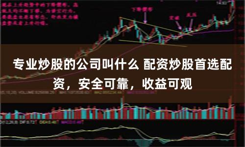 专业炒股的公司叫什么 配资炒股首选配资，安全可靠，收益可观